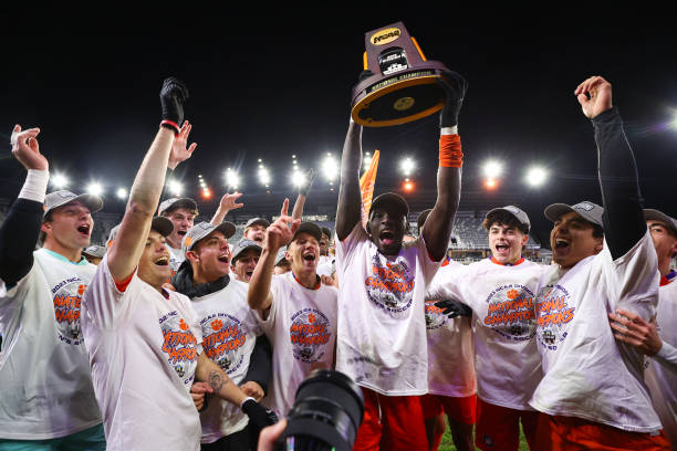 分享了一个 分享了一个