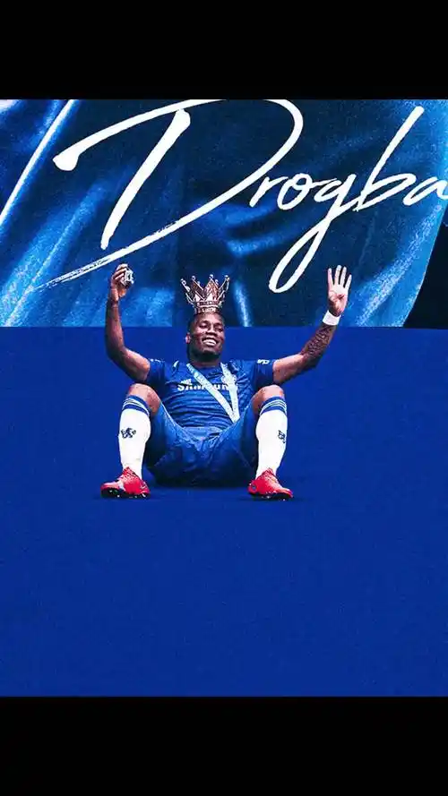 供了展示风 供了展示风